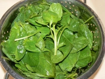 bunter Spinatsalat - Rezept - Bild Nr. 2