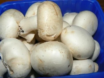 bunter Spinatsalat - Rezept - Bild Nr. 3