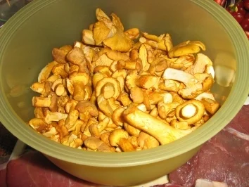 Pfifferling Steak ala Rosa - Rezept - Bild Nr. 4