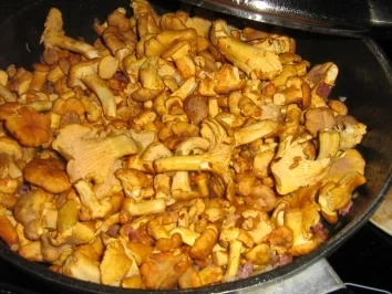 Pfifferling Steak ala Rosa - Rezept - Bild Nr. 5