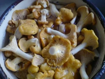 Pfifferlinge mit Rührei - Rezept - Bild Nr. 5