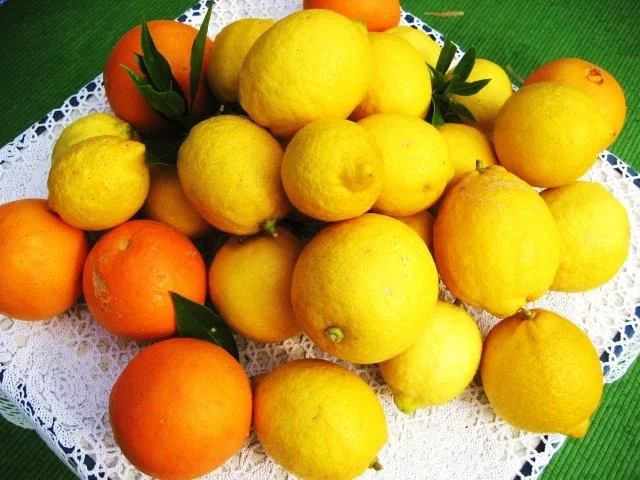 Rezept: Bowle aus Zitronen ... Bild Nr. 4 Bowle aus Zitronen ... - Rezept - Bild Nr. 4