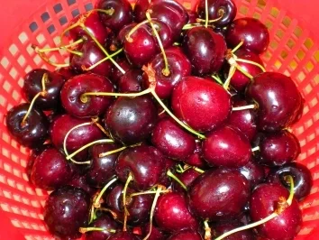 Rezept: KUCHEN: Kirschen-Schoko-Nuss-Kuchen Bild Nr. 2 KUCHEN: Kirschen-Schoko-Nuss-Kuchen - Rezept - Bild Nr. 2