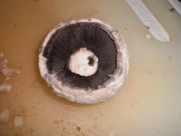 Gegrillte Champignons mit Kräuterbutter - Rezept - Bild Nr. 2