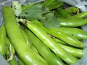 Risotto alla contadina // Risotto nach Bäuerinart - Rezept