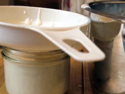 Desserts - Teecreme - Rezept - Bild Nr. 3