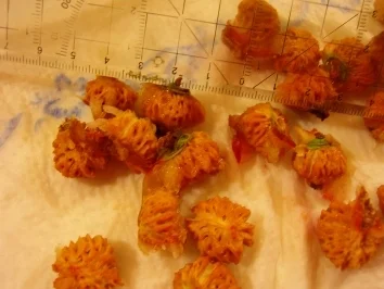 Konfitüre von Weinbergpfirsichen - Rezept - Bild Nr. 4