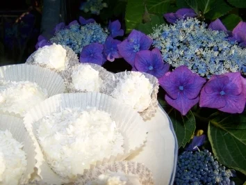 Raffaelo - Rezept - Bild Nr. 2