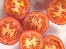 Rezept: Geschmorte Tomaten Bild Nr. 8 Geschmorte Tomaten - Rezept - Bild Nr. 8
