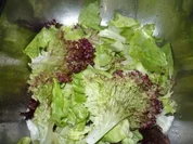 Biomüll sortiert - Rezept