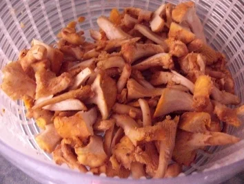 Pfifferlinge-wie ich sie am liebsten mag - Rezept - Bild Nr. 3