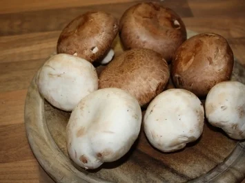 Rezept: Pilzsoljanka Bild Nr. 2 Pilzsoljanka - Rezept - Bild Nr. 2