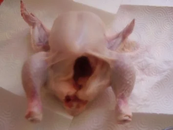 Rezept: Hühnchen gefüllt mit Reis Bild Nr. 5 Hühnchen gefüllt mit Reis - Rezept - Bild Nr. 5