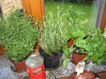 Rezept: Fruchtige Spaghettini Napoli Bild Nr. 4 Fruchtige Spaghettini Napoli - Rezept - Bild Nr. 4