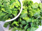 Blattspinat - mal  "italienisch" - Rezept