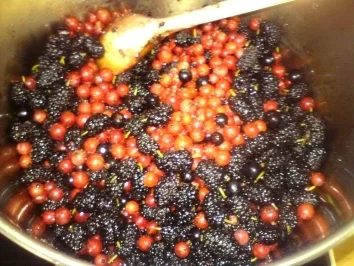 Johannisbeer-Maulbeer-Marmelade - Rezept - Bild Nr. 3