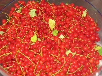 Johannisbeer-Nektarinen-Marmelade mit Creme de Cassis - Rezept - Bild Nr. 2