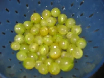 Kiwi- Johannisbeer-Stachelbeer-Marmelade - Rezept - Bild Nr. 2