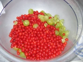 Kiwi- Johannisbeer-Stachelbeer-Marmelade - Rezept - Bild Nr. 3