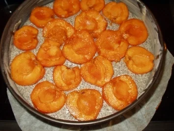 Marillen-Mohntorte mit Topfen - Rezept - Bild Nr. 2