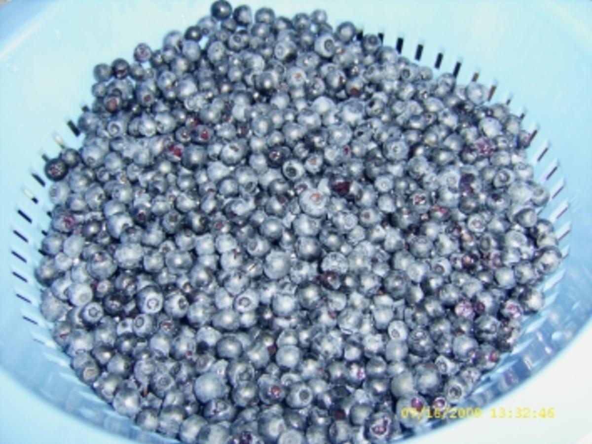 Absolut leckerer Blaubeerkuchen - einfach - von Ellinor79
