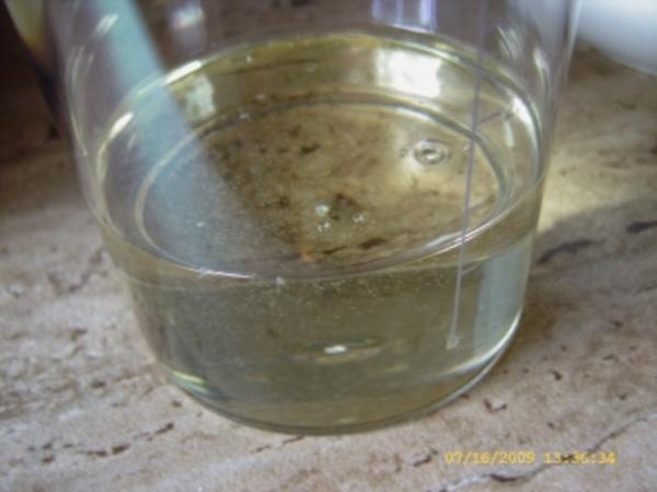 Absolut leckerer Blaubeerkuchen - einfach - von Ellinor79 Absolut leckerer Blaubeerkuchen - einfach - von Ellinor79