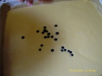 Absolut leckerer Blaubeerkuchen - Rezept - Bild Nr. 27