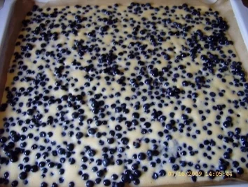 Absolut leckerer Blaubeerkuchen - Rezept - Bild Nr. 28