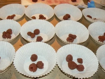 Beerige Zeiten - Käsekuchenmuffins mit Himbeeren - Rezept - Bild Nr. 2