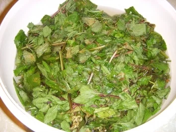 PFEFFERMINZGELEE - Rezept - Bild Nr. 2