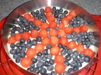 Melonen - Heidelbeer - Torte - Rezept