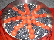 Melonen - Heidelbeer - Torte - Rezept