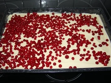 Blech: Johannisbeer-Quark-Streuselkuchen - Rezept - Bild Nr. 4