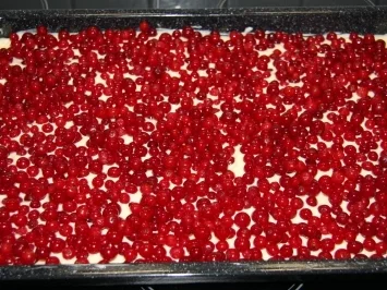 Blech: Johannisbeer-Quark-Streuselkuchen - Rezept - Bild Nr. 6