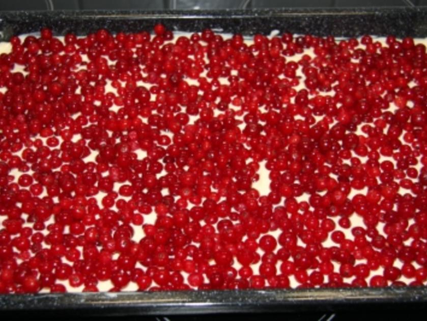 Blech: Johannisbeer Quark Streuselkuchen - einfach - von Rejerfan_55