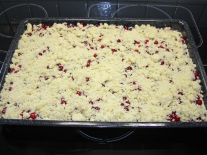 Blech: Johannisbeer Quark Streuselkuchen - einfach - von Rejerfan_55