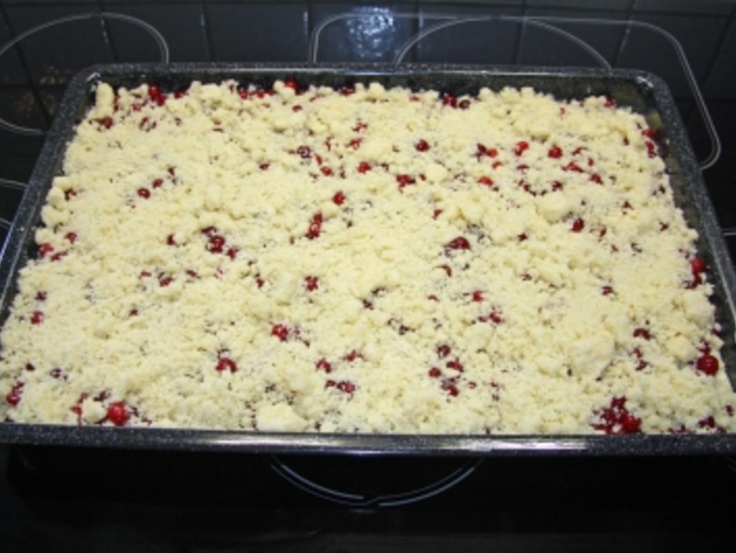 Blech: Johannisbeer Quark Streuselkuchen - einfach - von Rejerfan_55