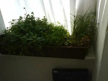 Brotaufstrich: Kräuterbutter - Rezept - Bild Nr. 4