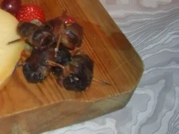 Gäste-getrocknete Pflaumen im Speckmantel - Rezept - Bild Nr. 6