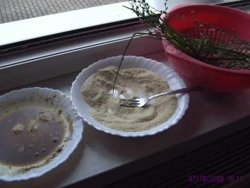 Paprika-Dill-Kräuter-Bällchen - Rezept - Bild Nr. 2