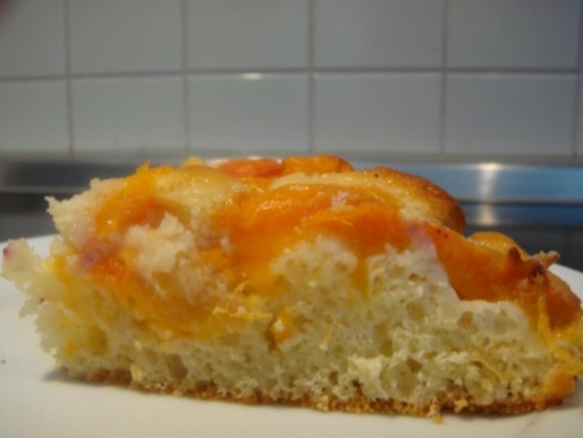 Kuchen: Aprikosenkuchen sehr fein....schlanke Version - Rezept
