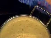 Rezept: Weißes Bohnenpüree Weißes Bohnenpüree - Rezept