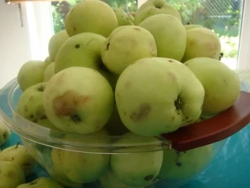 Rezept: Dessert: Apfelmus - im Glas Dessert: Apfelmus - im Glas - Rezept