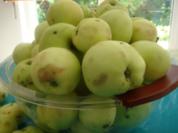 Dessert: Apfelmus - im Glas - Rezept