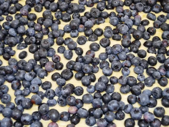 Heidelbeerkuchen  mit Streusel - Rezept