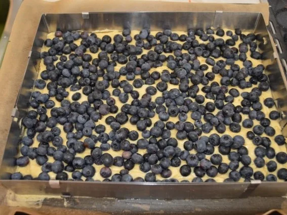 Heidelbeerkuchen  mit Streusel - Rezept - Bild Nr. 3