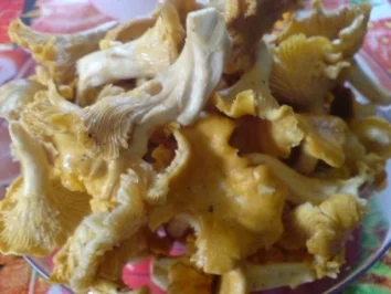 Überbackene Pilze - Pfifferlinge - Rezept - Bild Nr. 6