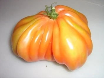 Rezept: Ochsenherz-Tomatensalat mit Feta Ochsenherz-Tomatensalat mit Feta - Rezept