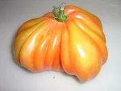 Ochsenherz-Tomatensalat mit Feta - Rezept