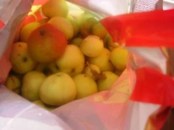 Apfelmus - Rezept - Bild Nr. 2